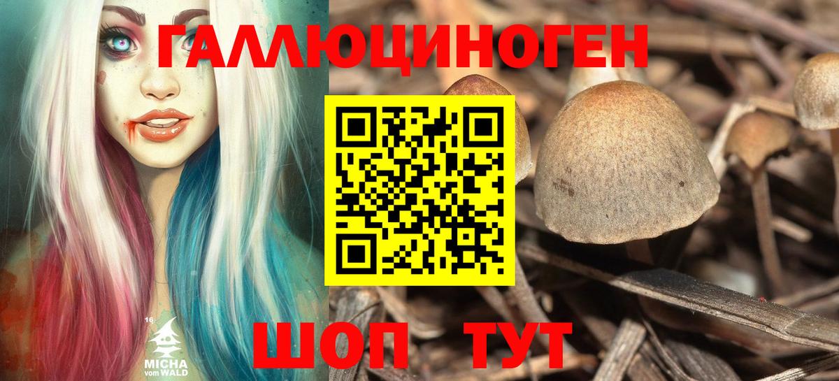 купить   Галлюциногенные грибы MAGIC MUSHROOMS  Краснокамск  Вход с VPN  Галлюциногенные грибы Psilocybe 